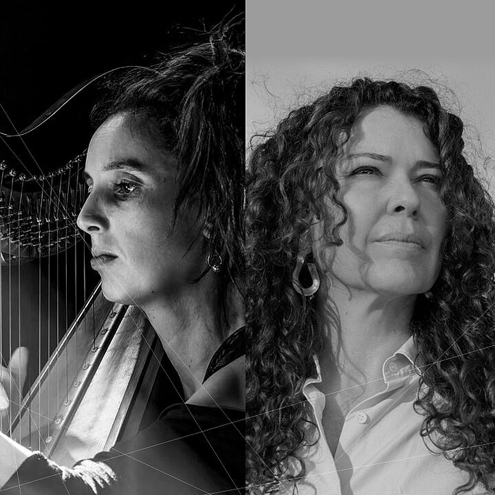 Le Grand Prix suisse de musique 2025 est décerné à la pianiste et compositrice Sylvie Courvoisier, tandis que Julie Campiche figure parmi les lauréat·es des Prix suisses de musique.