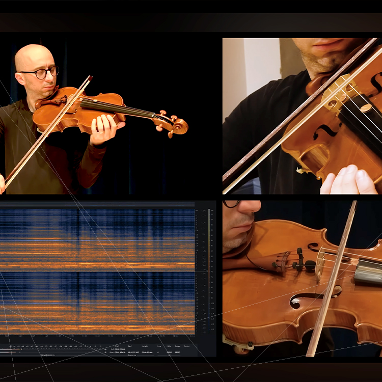 Premières explorations du labyrinthe sonore de there is no gap between bird and song