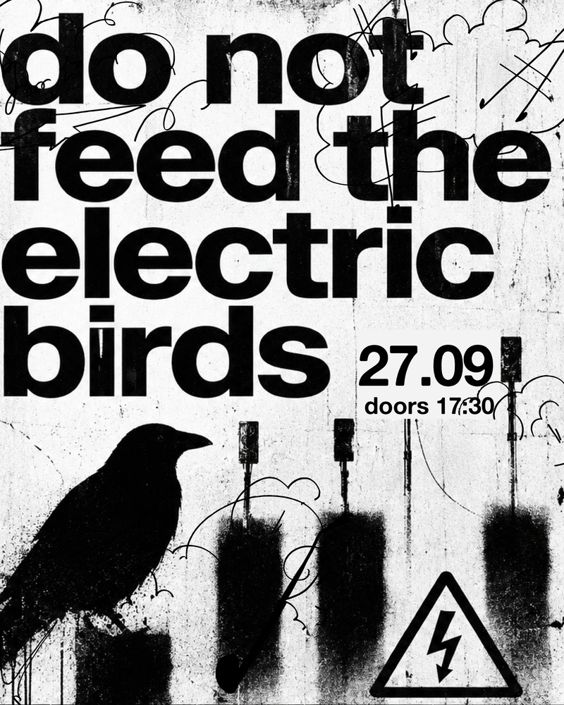Do Not Feed The Electric Birds